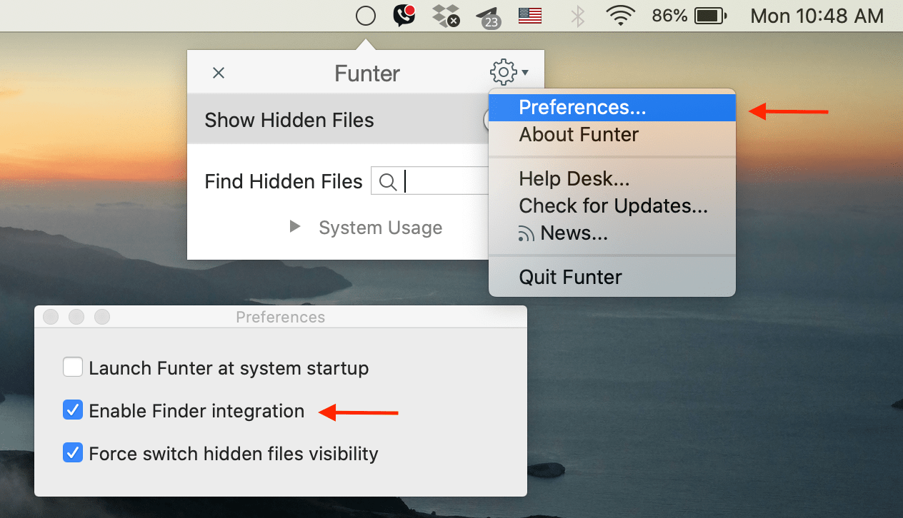 Show hidden files mac app